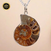 Ammonite Pendant