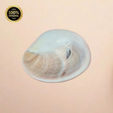 Big Size Gomti Chakra 1 pcs