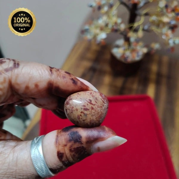 Natural Bloodstone Crystal Healing Stone